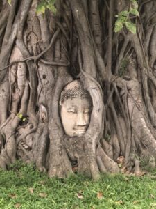 Thai 08.2019-148 - dimensioni grandi