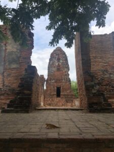 Thai 08.2019-158 - dimensioni grandi