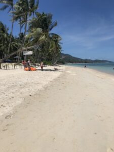 Thai 08.2019-357 - dimensioni grandi